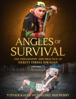 Angles of Survival book cover